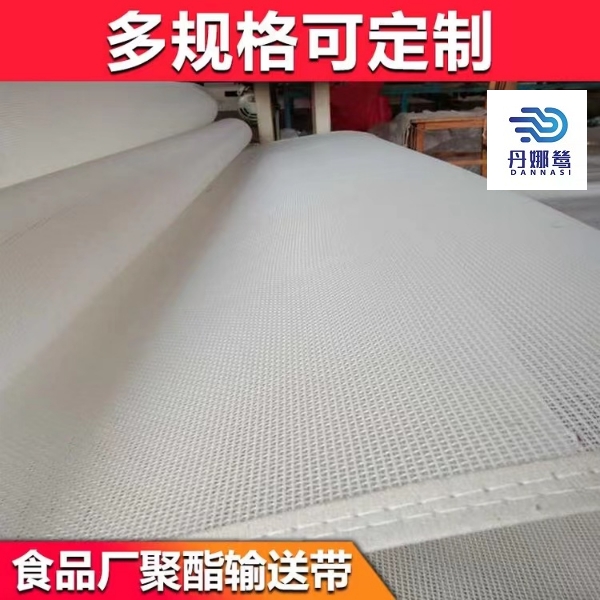 輸送網(wǎng)帶生產(chǎn)廠家 輸送網(wǎng)帶生產(chǎn)廠家
